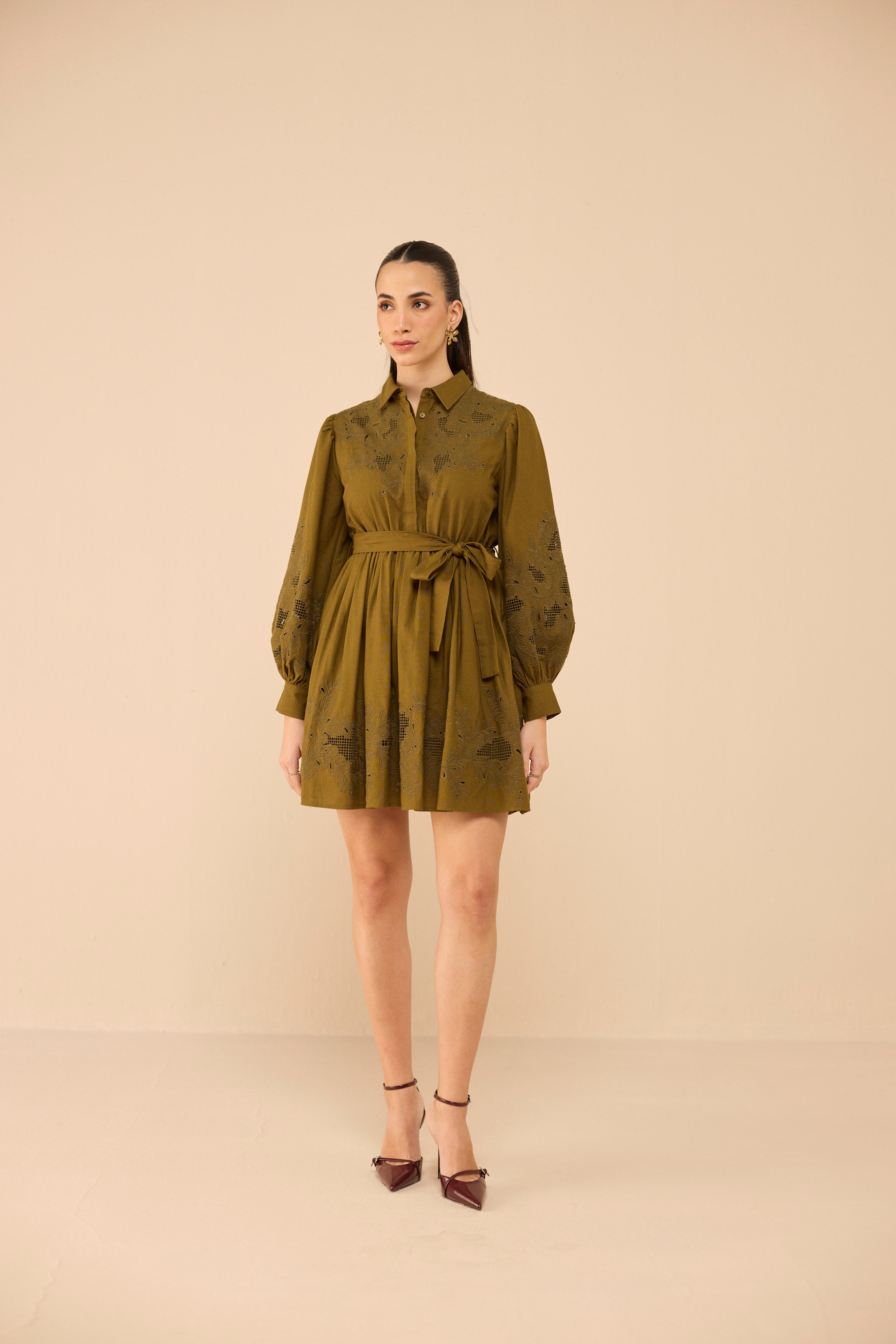 Dark_Olive_Green-04