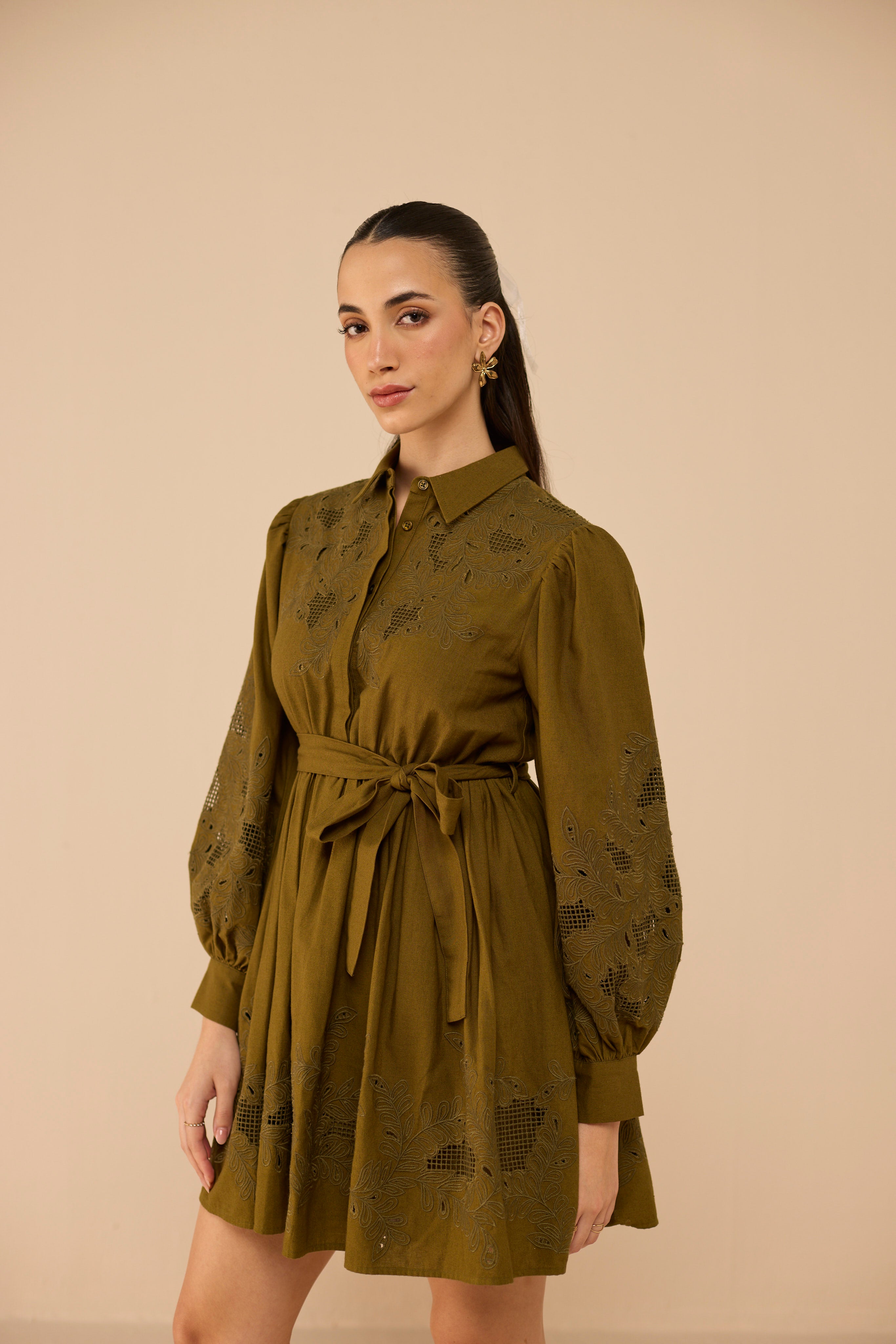 Dark_Olive_Green-02